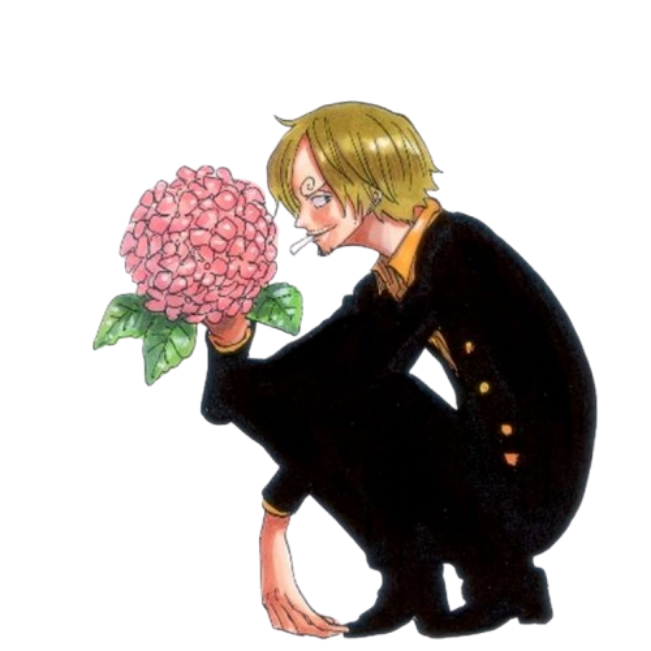 Sanji - Blackleg Alliance